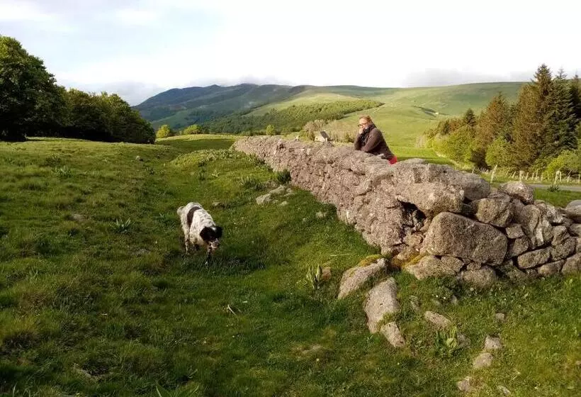 ペンション Le Figarelou