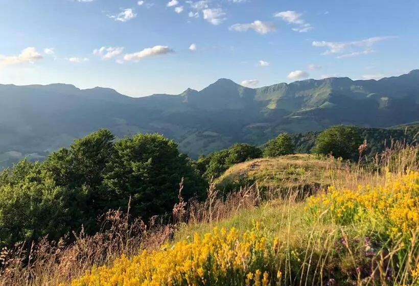 ペンション Le Figarelou