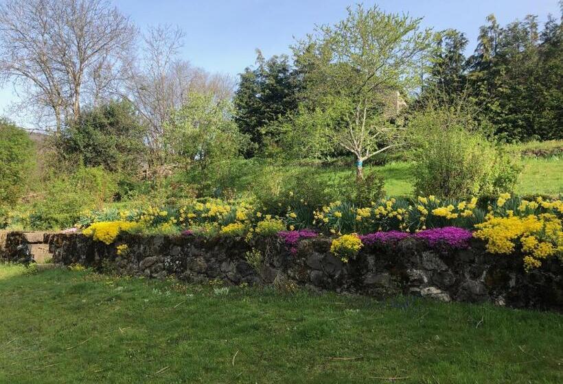 بنسيون Le Figarelou