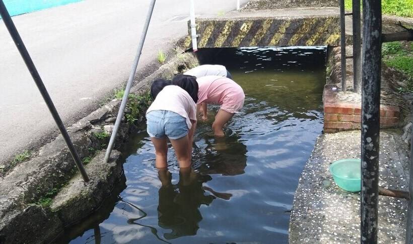 پانسیون Nature Home