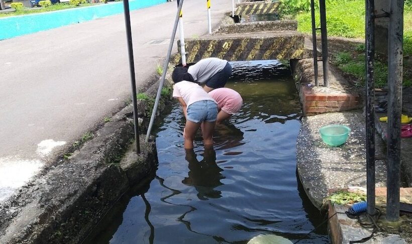 پانسیون Nature Home