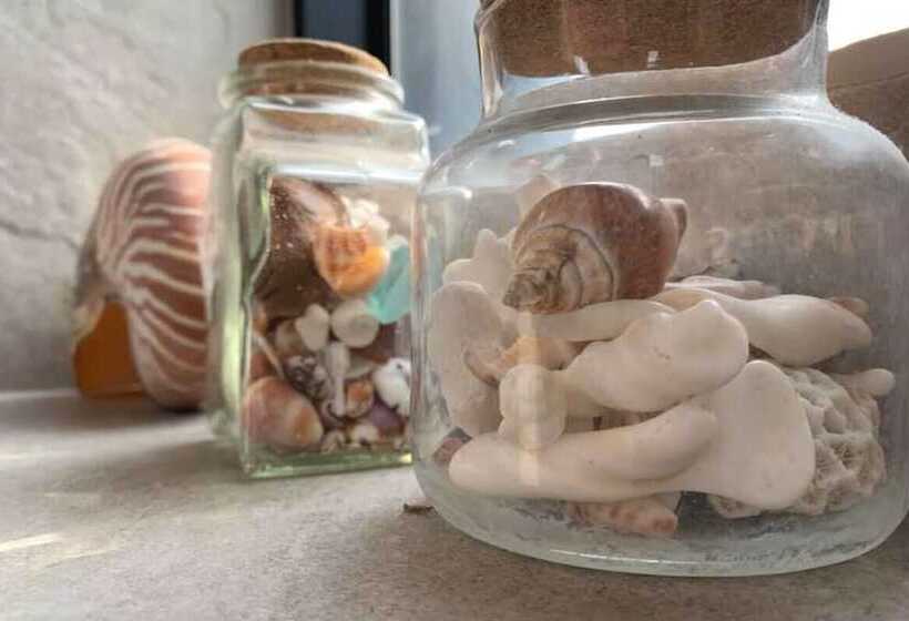 پانسیون Shili Cactus B&b