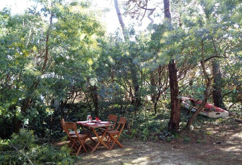 פנסיון Villa Tantely