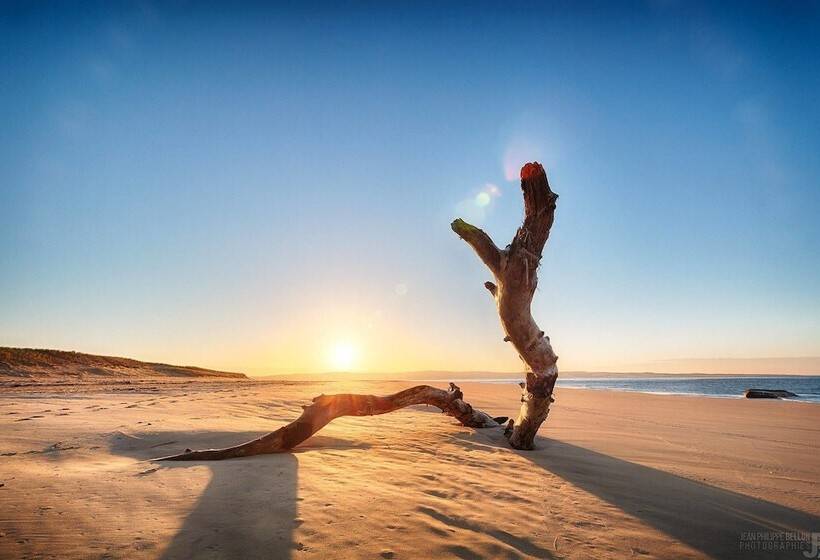 פנסיון Villa Tantely