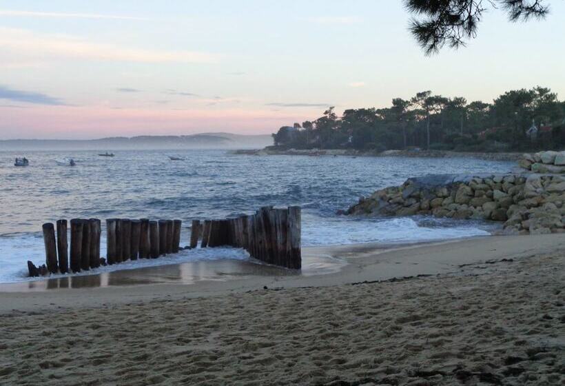 פנסיון Villa Tantely