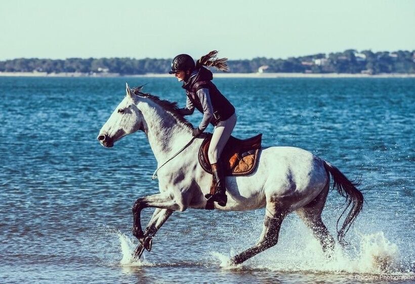 פנסיון Villa Tantely