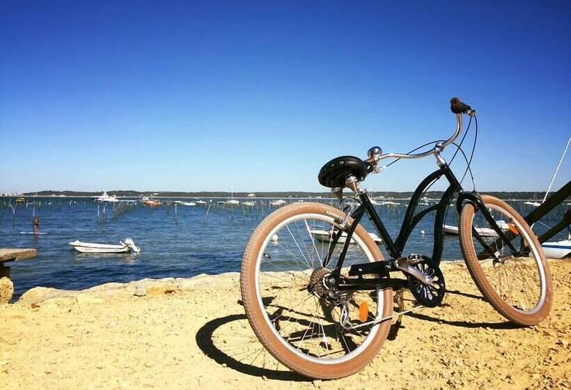 פנסיון Villa Tantely