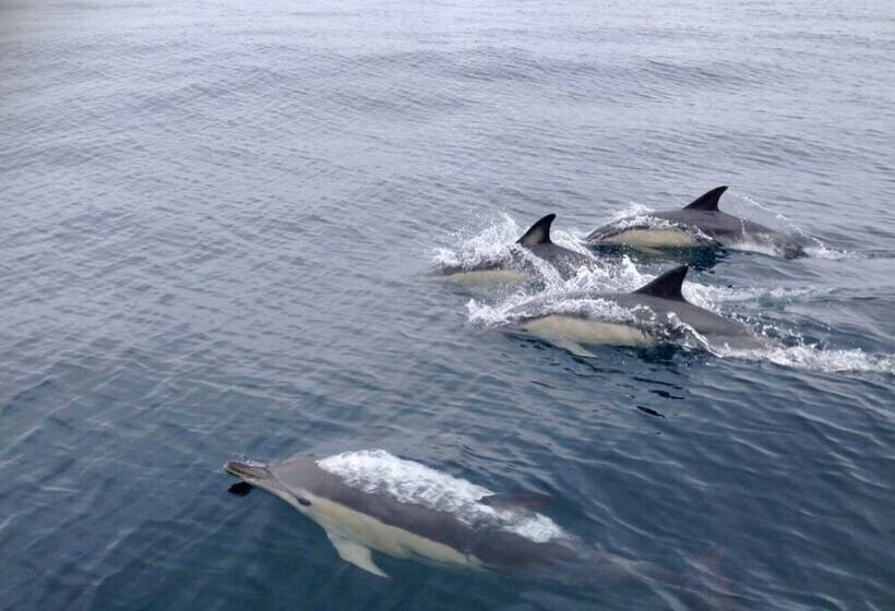 פנסיון Villa Tantely