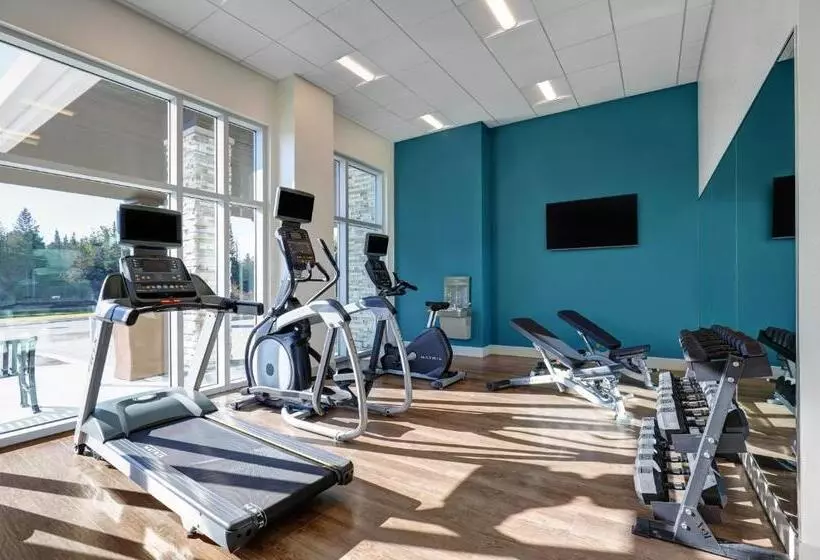 ホテル Holiday Inn Express   Kingston West, An Ihg