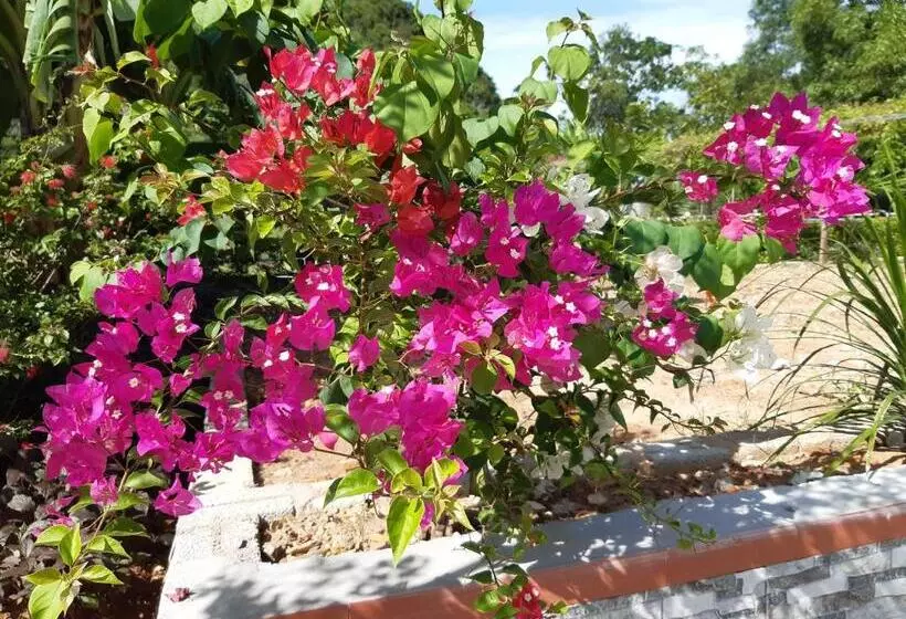 Phong Nha Bolero Bungalow