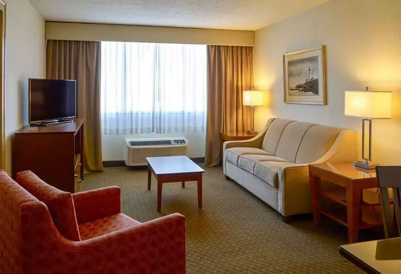 Clarion Hotel Airport