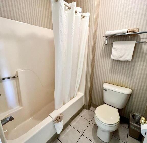 בית מלון כפרי Court Plaza Inn & Suites Of Mackinaw