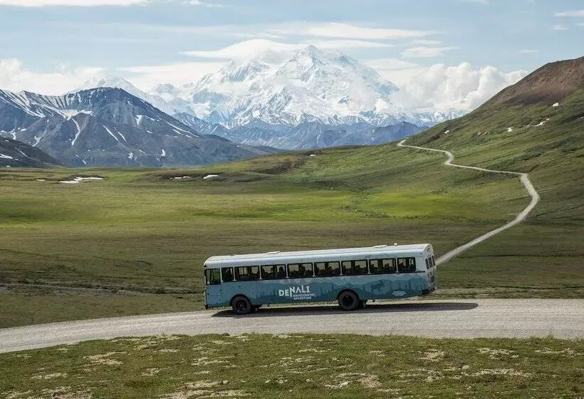 فندق Denali Cabins