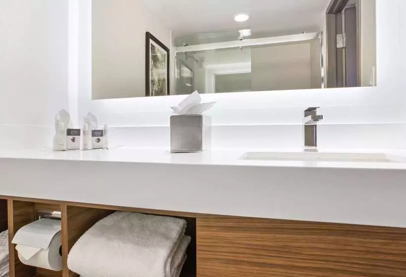 هتل Doubletree By Hilton New Orleans