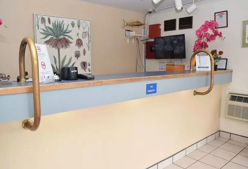 酒店 Knights Inn Oswego East