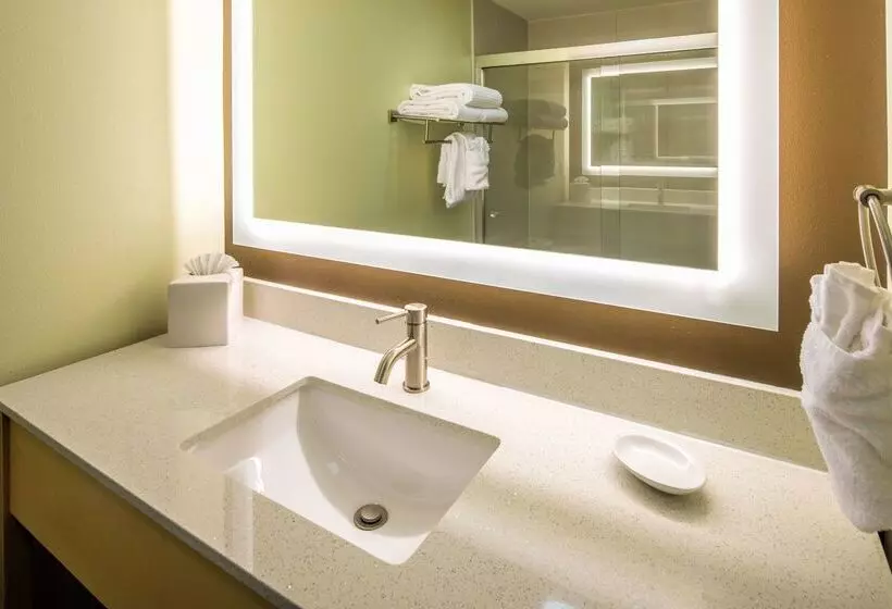 酒店 Red Lion Inn And Suites Everett