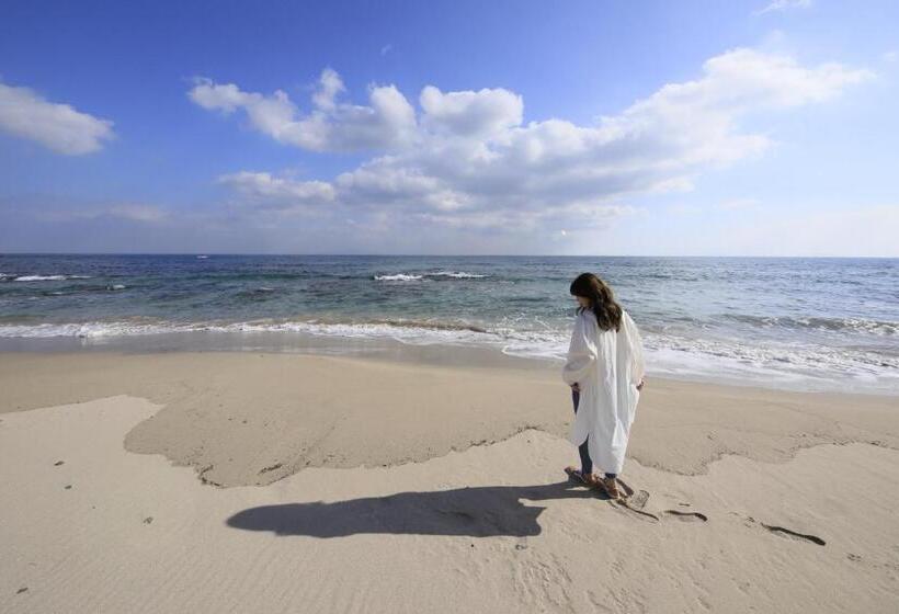 Hotel Welcome Inn Sunnysteps