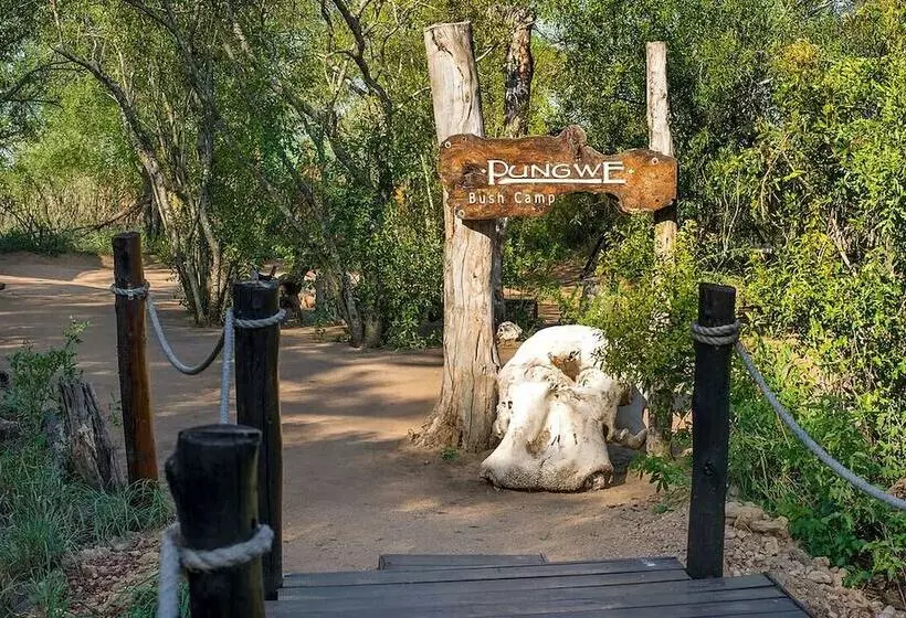 ホテル Pungwe Safari Camp
