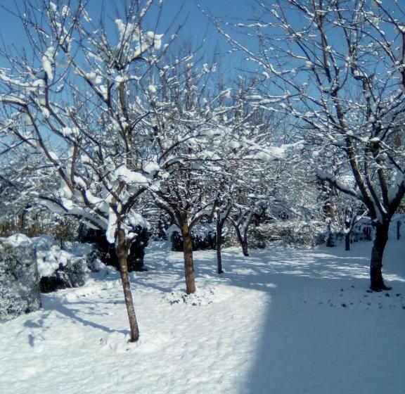 Pensão Le Clos De La Vigneronne