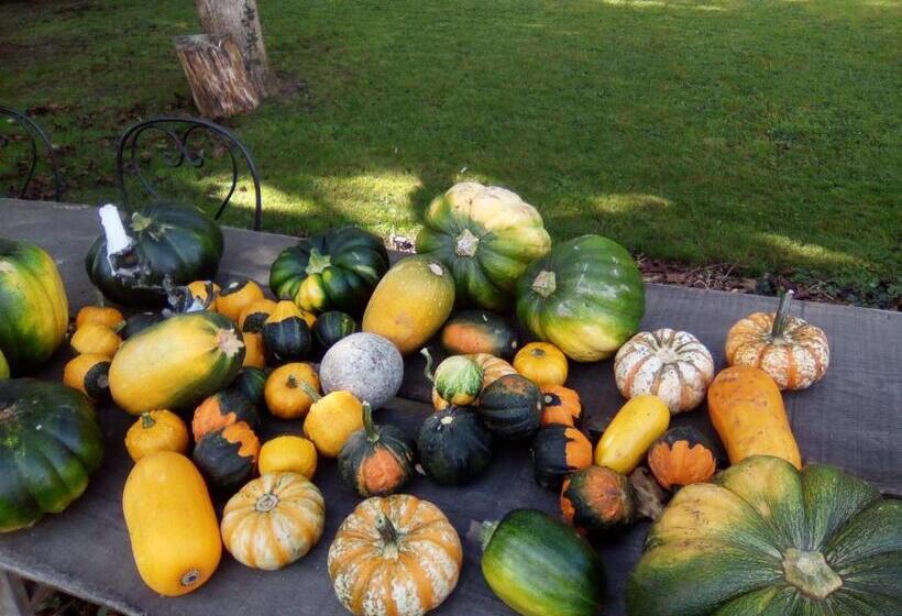 Pensão Le Clos De La Vigneronne