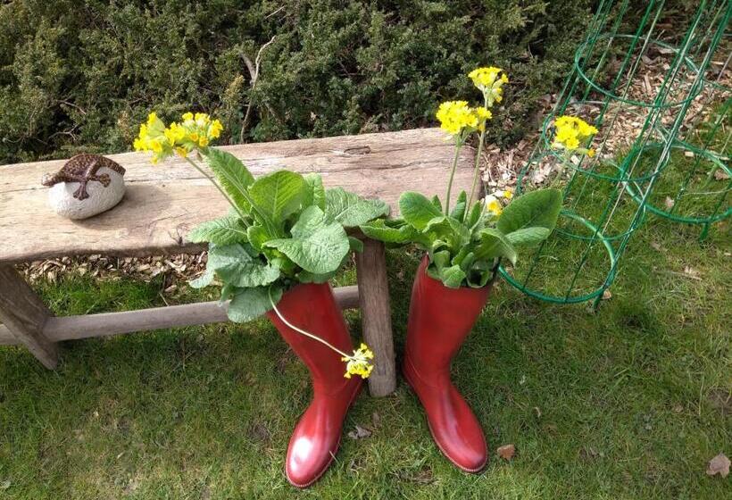 Pensão Le Clos De La Vigneronne