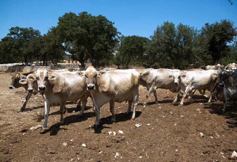 Сельский отель Masseria Cappella