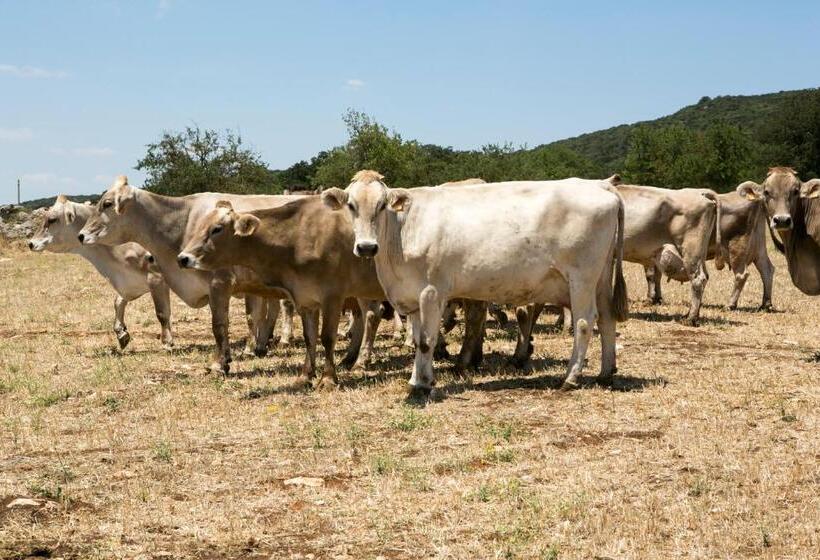 Сельский отель Masseria Cappella
