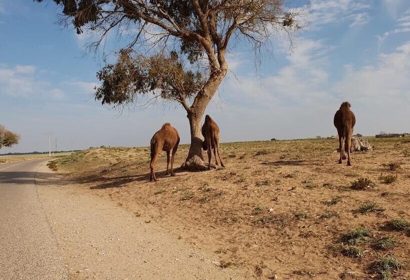 پانسیون Inna Guest House
