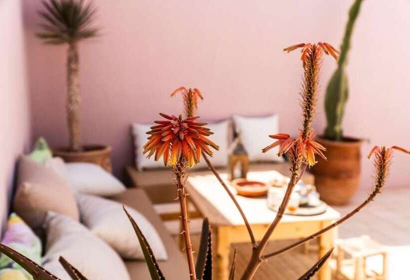 پانسیون Inna Guest House