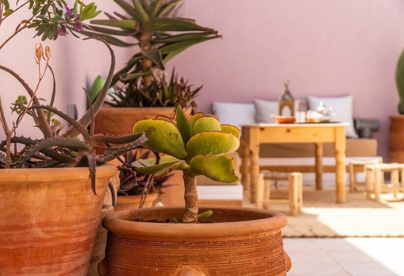 پانسیون Inna Guest House