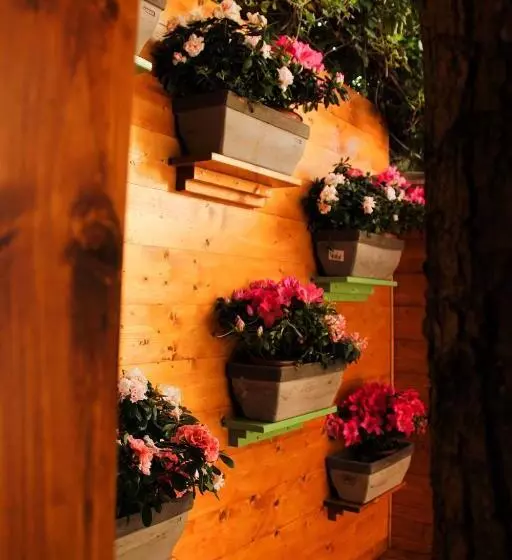 Aamiaismajoitus (B&B) La Casa Di Nonno Giulio