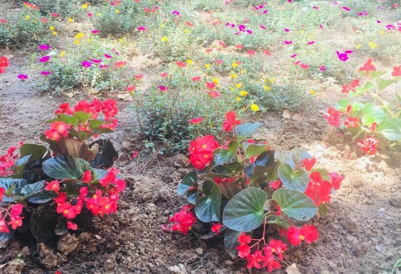 住宿加早餐  La Casa Di Nonno Giulio