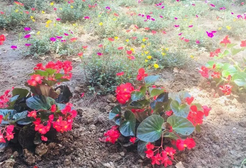 Aamiaismajoitus (B&B) La Casa Di Nonno Giulio