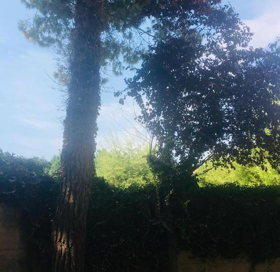 住宿加早餐  La Casa Di Nonno Giulio