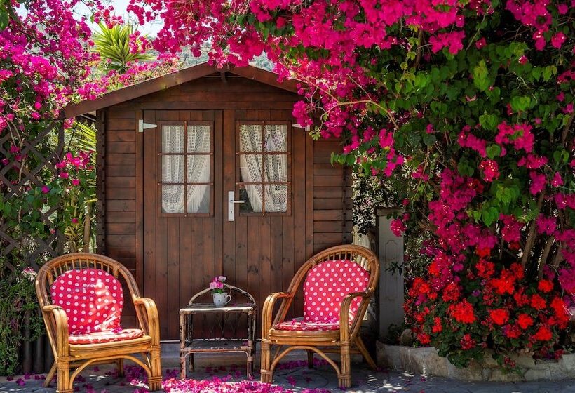 Hacienda Sol Trapiche