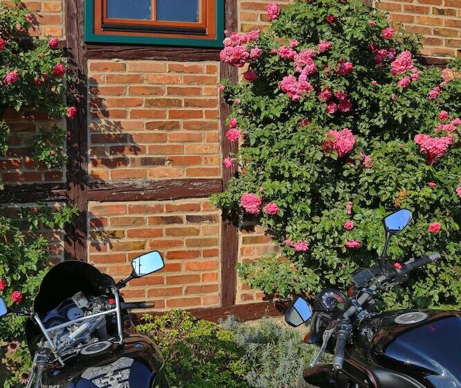 簡易ホテル Landgasthaus Zur Linde