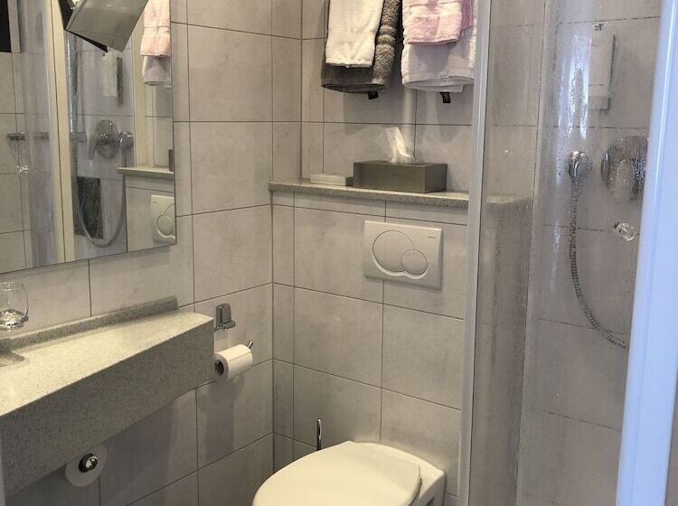 簡易ホテル Landgasthaus Zur Linde