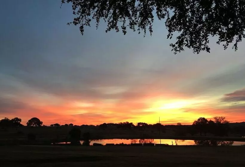 Hotelli The Alexander At Creek Road