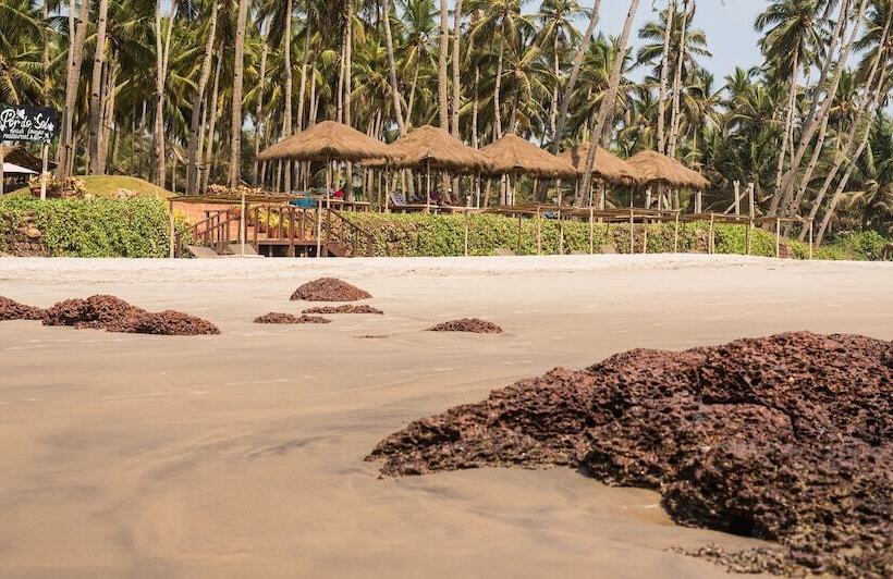 בית מלון כפרי Capital O 41974 Casa De Siolim