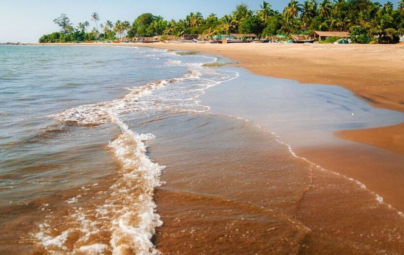 בית מלון כפרי Capital O 41974 Casa De Siolim