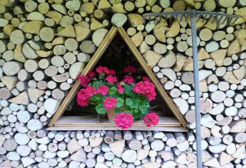 בית מלון כפרי Park Oasi