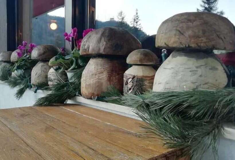 בית מלון כפרי Park Oasi