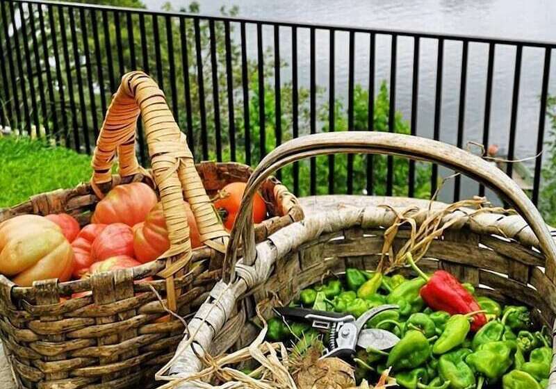 פנסיון Kintal Do Douro