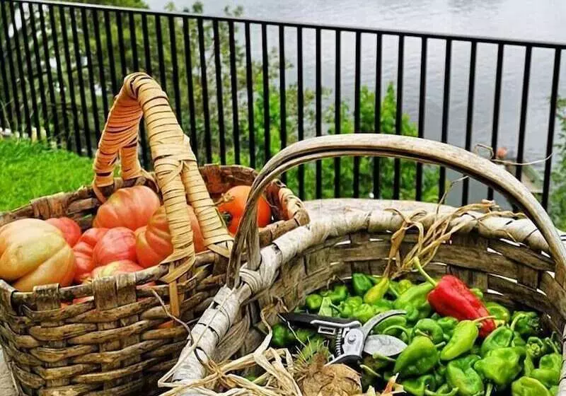 Majatalo Kintal Do Douro