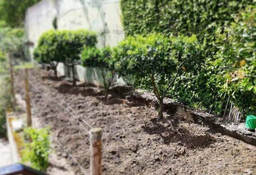 פנסיון Kintal Do Douro