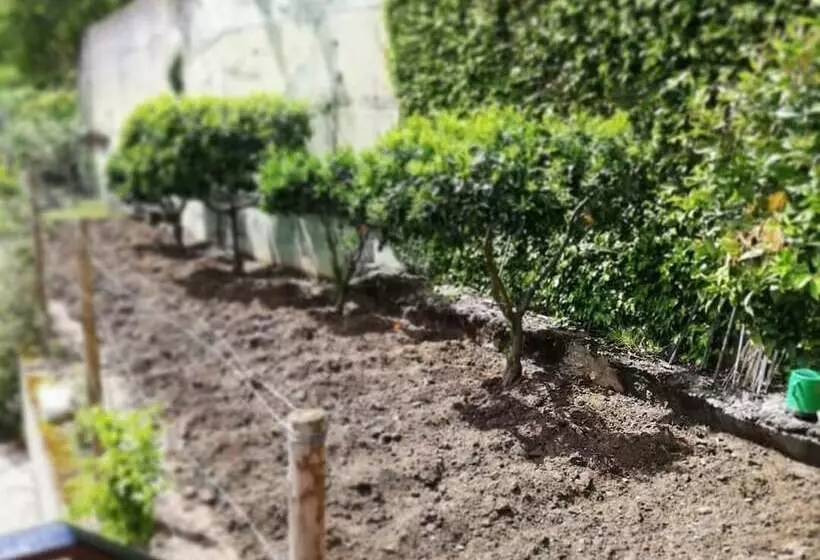 Majatalo Kintal Do Douro