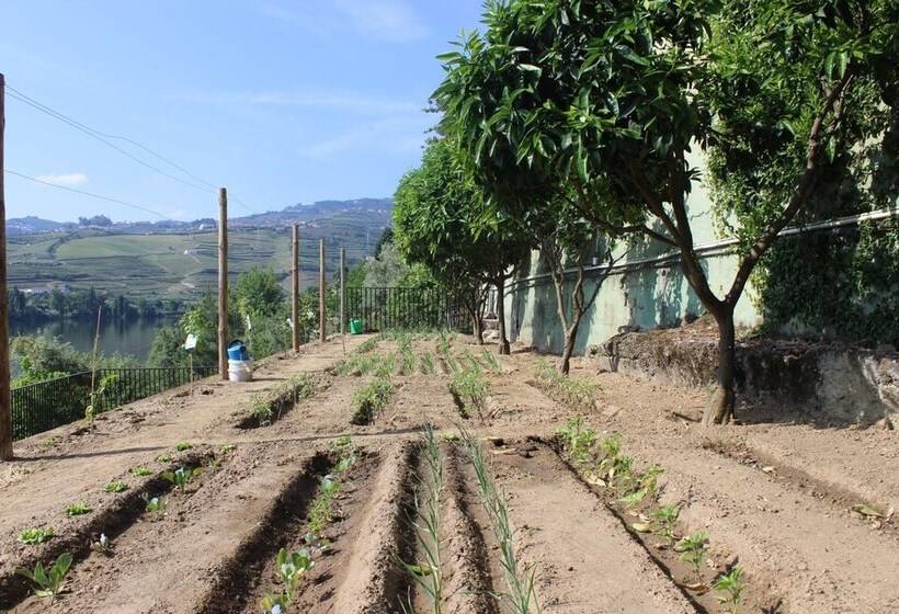 פנסיון Kintal Do Douro