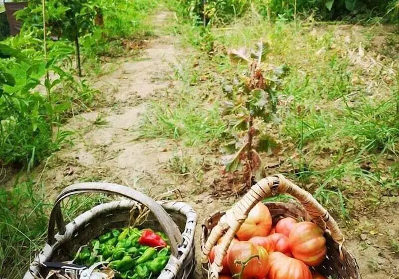 Majatalo Kintal Do Douro