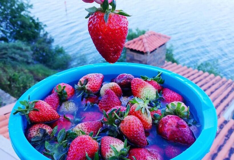 פנסיון Kintal Do Douro