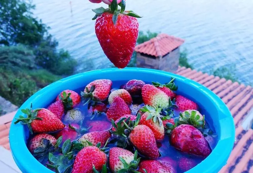 Majatalo Kintal Do Douro